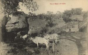 CPA Francais Congo Afrique - Parc á Bétail á N'Dellé (86637)