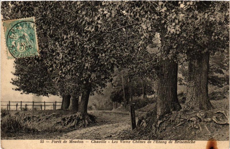 CPA CHAVILLE Les Vieux Chénes de l'Etang de Brisemiche (413474)