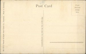Honolulu HI Gathering Cocoanuts ALOHA NUI Series c1910 Postcard