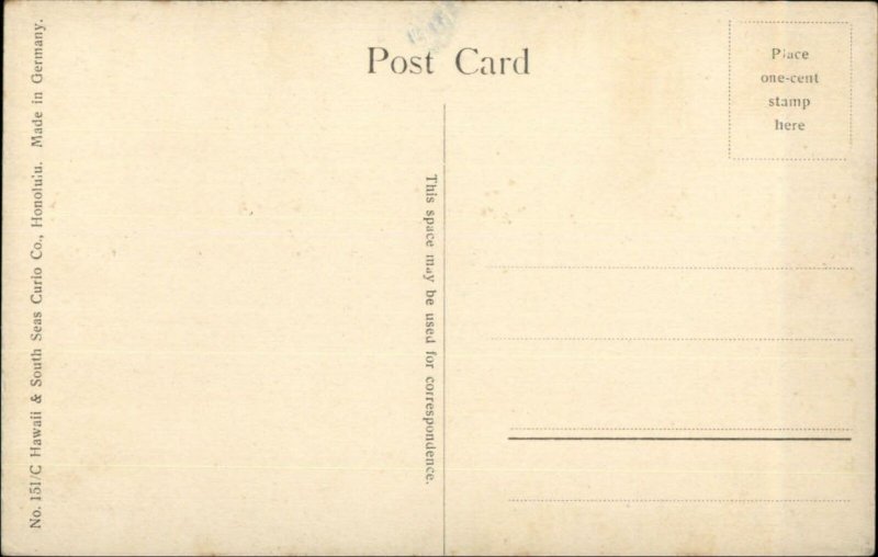 Honolulu HI Gathering Cocoanuts ALOHA NUI Series c1910 Postcard