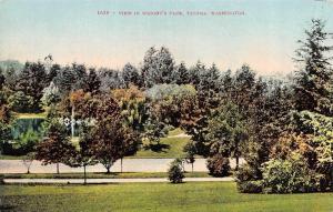 TACOMA, WA Washington   VIEW IN WRIGHT'S PARK  Lake~Trees   c1910's Postcard