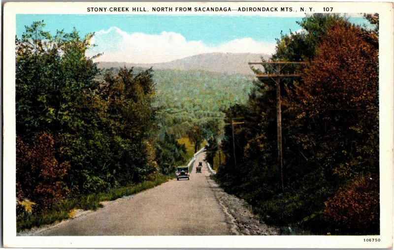 Stony Creek Hill, North from Sacandaga, Adirondack Mts NY Vintage Postcard V10