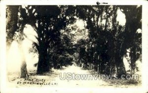 Pine alley, Real Photo - St Martinville, Louisiana LA