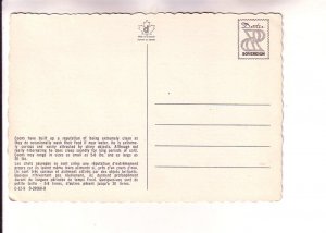 Ricky Raccoon, Made in Canada