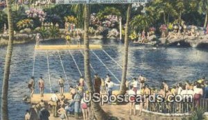Venetian Pool - Coral Gables, Florida FL