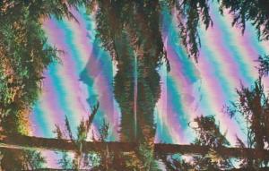 Alaska Mendenhall Glacier Through The Trees