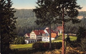 L344 Germany 1910 Hoehenluftkurort Ruhestein forest vintage postcard