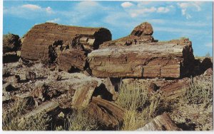 Petrified Logs Petrified Forest Arizona Rainbow Forest Section