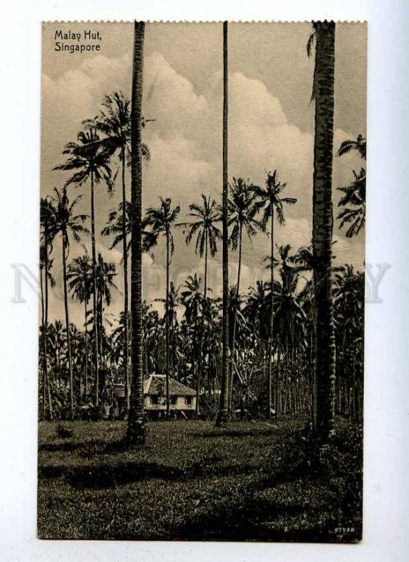 191399 SINGAPORE Malay hut Vintage postcard