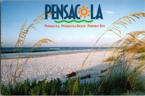 Continental Postcard Pensacola Beach Perdido Key Florida CF2