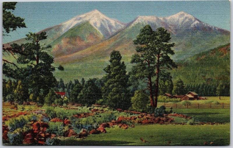 Arizona AZ, San Francisco Peaks, Flagstaff, Scenic Wonders, Vintage Postcard