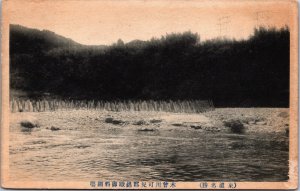 China Lake Trees Vintage Postcard C207