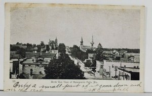 WIS Bird's Eye View of MENOMONIE FALLS Wisconsin 1906 to Rib Lake Postcard Q11