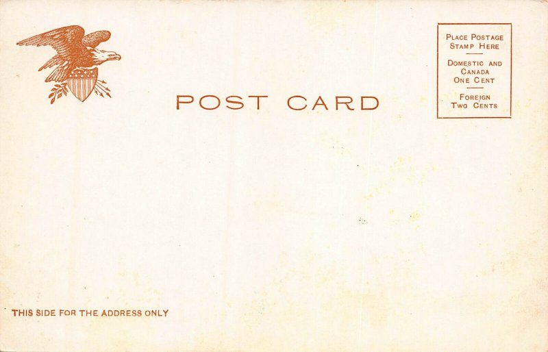 Hester Street, Manhattan, New York City, Early Postcard, Undivided Back, Unused