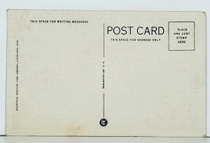 Elyria Ohio Electric Fountain at Night Ely Park Postcard J12