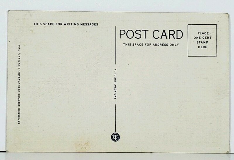 Elyria Ohio Electric Fountain at Night Ely Park Postcard J12