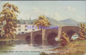 Cumbria Postcard - Windermere, Newby Bridge & Swan Hotel, E.H.Thompson DC2172