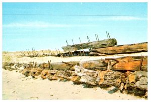 Wooden Skeletons Ships That Have Been Wrecked and Buried Massachusetts Postcard