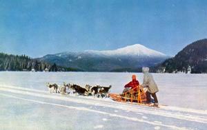 NY - Lake Placid. Alaskan Huskie Dog Team