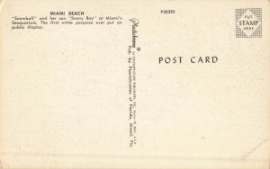 Postcard Snowball the White Porpoise Miami Beach Florida