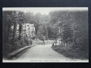 France Somme BOIS DE CISE Route du Vieux Chene - Village Houses c1903 Postcard