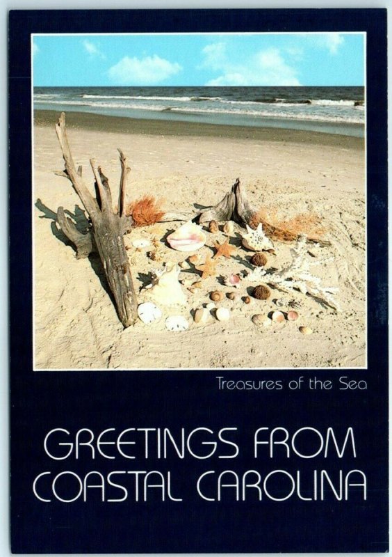 Postcard - Treasures of the Sea - Greetings From Coastal Carolina 