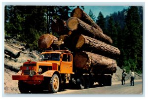 1959 Diesel Trucks Hauling Logs on Mountain Roads Posted Vintage Postcard