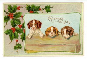 Greeting - Christmas. 