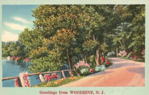 Vintage Postcard 1910's Greetings From Woodbine Cape May County, New Jersey NJ