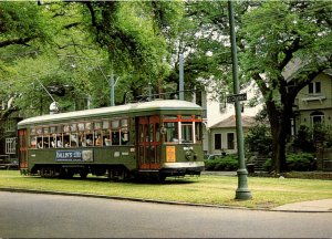 Louisiana New Orleans Streetcard #900 Along St Charles Avenue