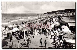 Modern Postcard Deauville flowered beach boards and sun bar