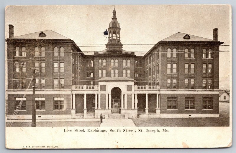 Live Stock Exchange South Street St Joseph MO C1909 UDB Postcard S20