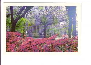 Owens-Thomas House, Savannah, Georgia, Dixie News, Photo Ernest Ferguson