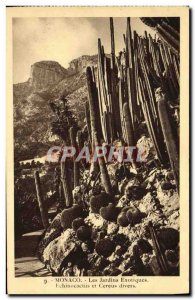 Old Postcard Monaco Exotic Gardens Echinocactus various e cereus