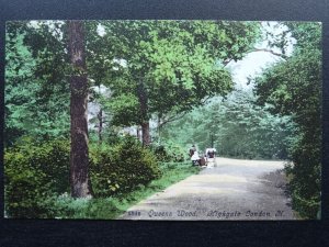 London HIGHGATE Queens Wood showing Baby & Pram c1906 Postcard