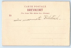 Region Sjælland Denmark Postcard Algade Store Heddinge c1910 Unposted