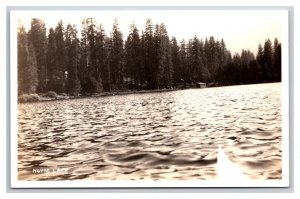 RPPC View From Water Hume Lake California CA UNP Postcard Z9