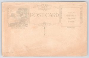 A Very Happy Thanksgiving~Turkey In Field Scene~Made In USA~Vintage Postcard