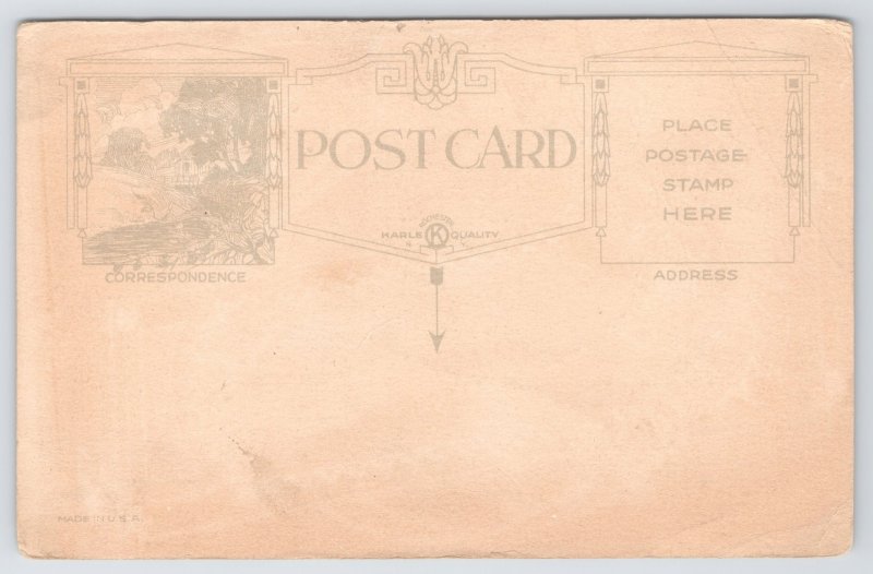 A Very Happy Thanksgiving~Turkey In Field Scene~Made In USA~Vintage Postcard