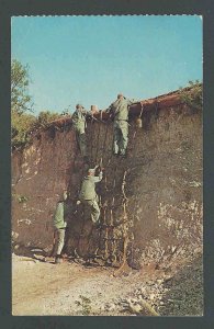 1945 PPC* WW2 Lackland Air Force Base Men Scaling Wall San Antonio TX Posted