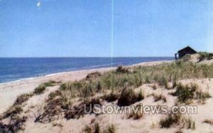 Cape Cod Beach, Mass