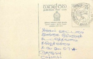 Entier Postal Stationery Postal Sri Lanka Ceylon Lion