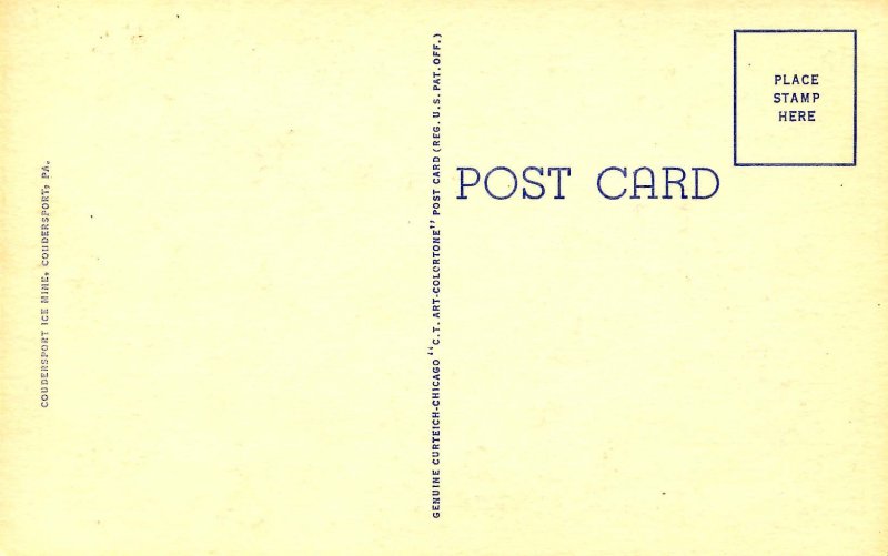 PA - Coudersport. Mountain Laurel