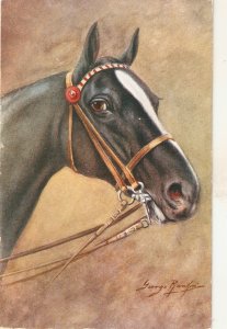 George Ranking. Head of a horse  Nice vintage Salmon postcard