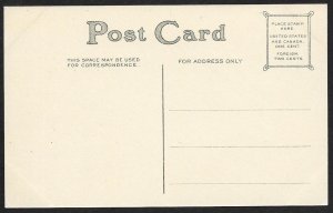 Language of Flowers Snowdrops Hope Unused c1910s