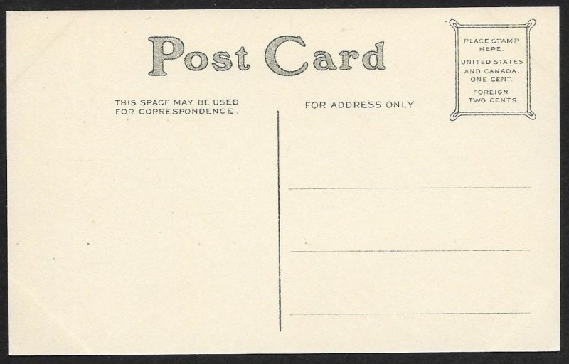 Language of Flowers Snowdrops Hope Unused c1910s