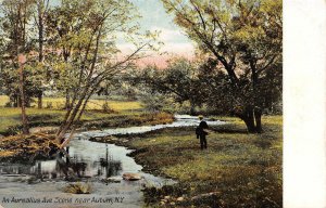 AUBURN, New York NY   AUREALIUS AVENUE SCENE  Man By Stream  ca1900's Postcard