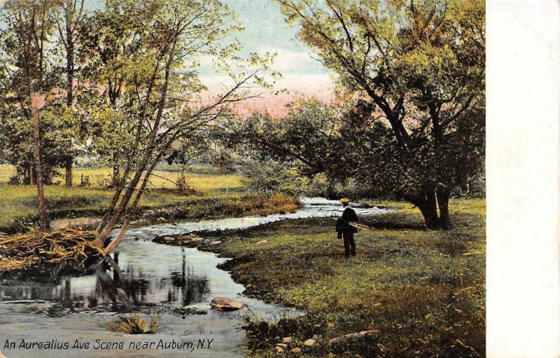 AUBURN, New York NY   AUREALIUS AVENUE SCENE  Man By Stream  ca1900's Postcard