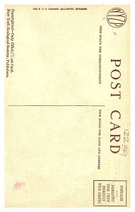 Orangutans, being weighed