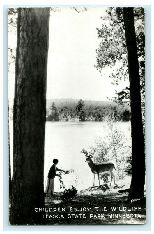 c1940's Children Enjoy Wildlife Itasca State Park Minnesota RPPC Photo Postcard 